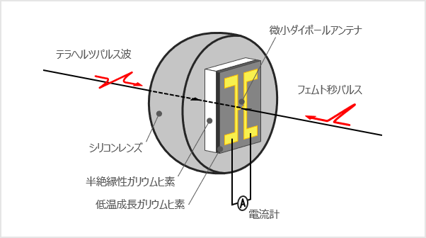 図2: テラヘルツパルス波の検出素子.