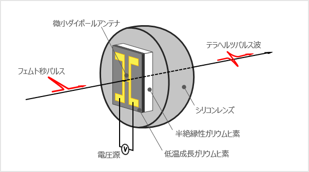 図1: テラヘルツパルス波発生素子.