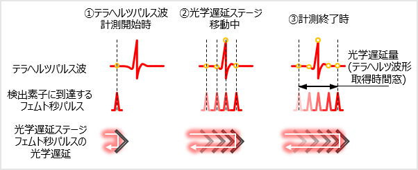  テラヘルツパルス波の検出素子