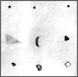 粉体の軟質異物