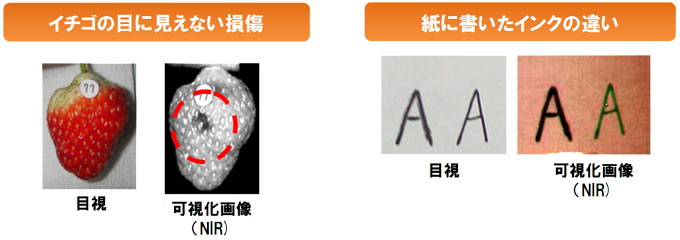 青果物、飲料、粉体中の異物事例を紹介
